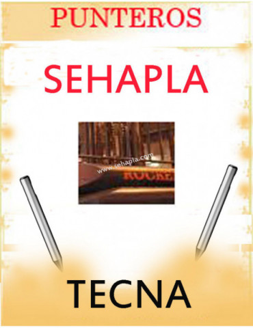 TECNA. Punteros para...