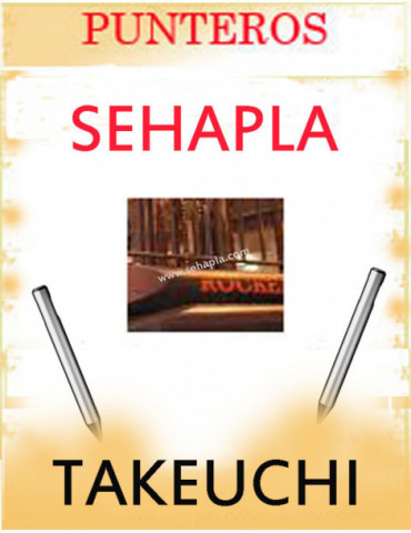 TAKEUCHI. Punteros para...